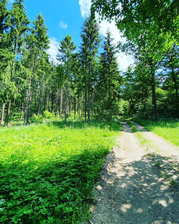 Gora Jablek Mazury Mikolajki Lipowo (Mragowo)